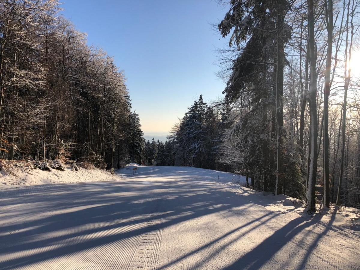 Chalet Anra Pohorje Zgornje Hoce Buitenkant foto