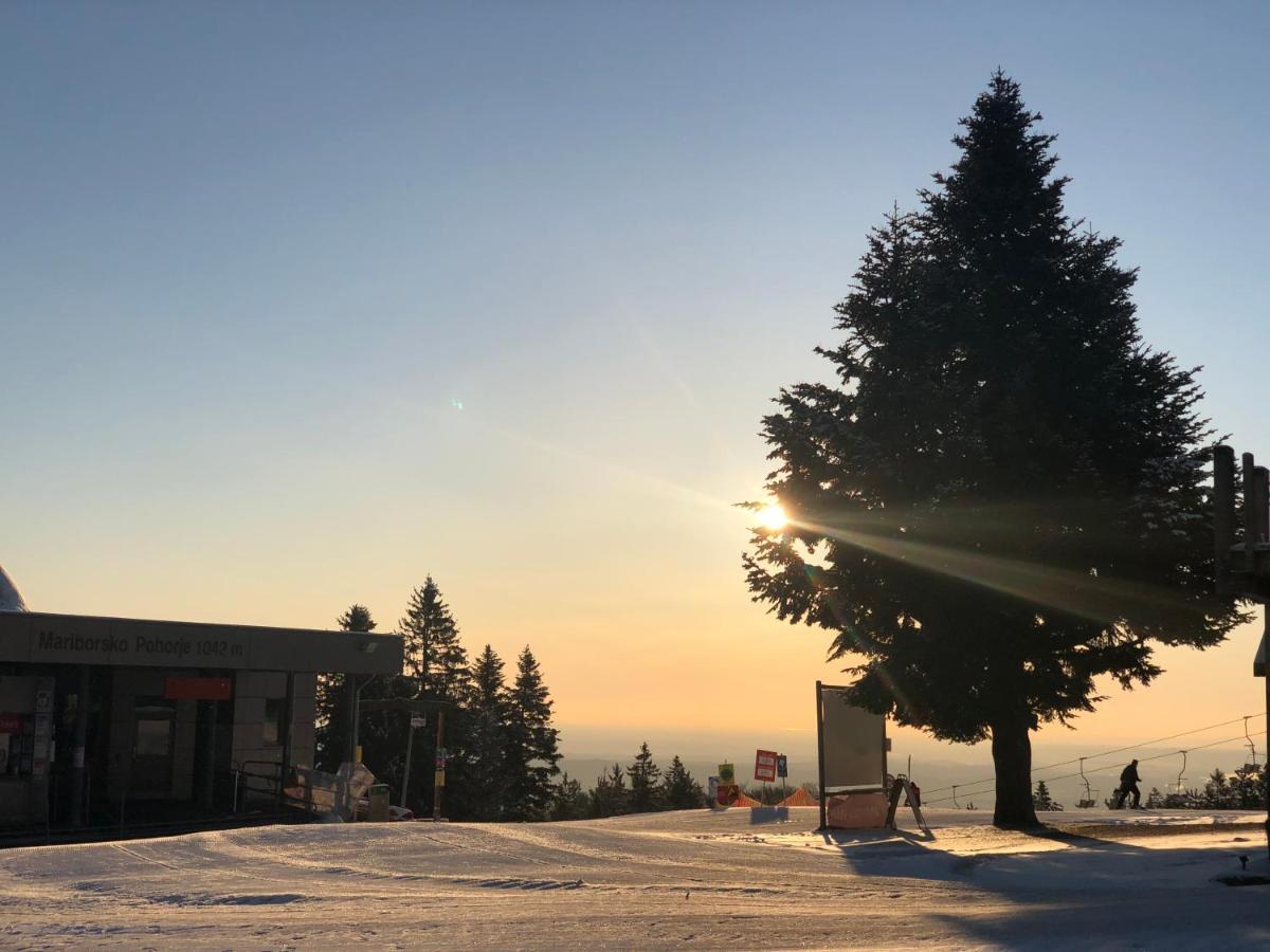Chalet Anra Pohorje Zgornje Hoce Buitenkant foto