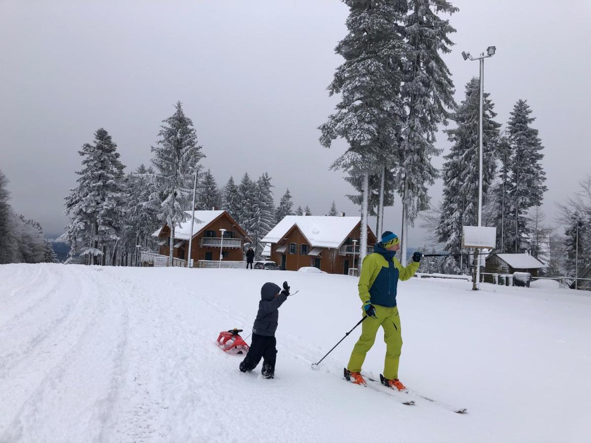 Chalet Anra Pohorje Zgornje Hoce Buitenkant foto