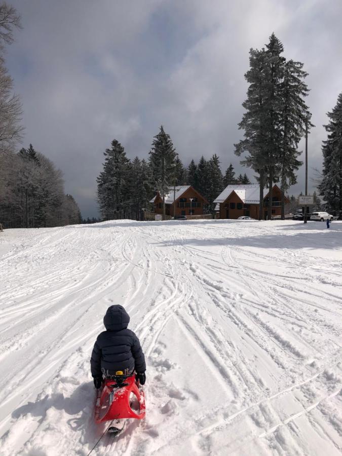 Chalet Anra Pohorje Zgornje Hoce Buitenkant foto