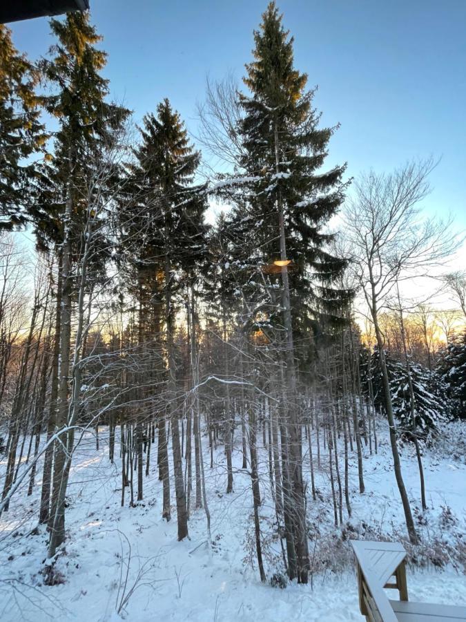 Chalet Anra Pohorje Zgornje Hoce Buitenkant foto
