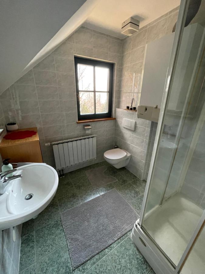 Chalet Anra Pohorje Zgornje Hoce Buitenkant foto