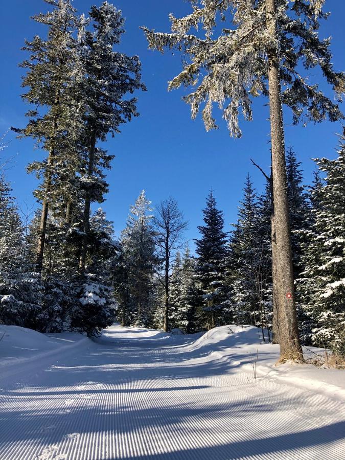 Chalet Anra Pohorje Zgornje Hoce Buitenkant foto